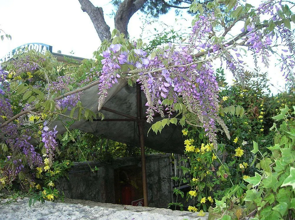 **  סירמיונה Hotel Villa Pagoda איטליה